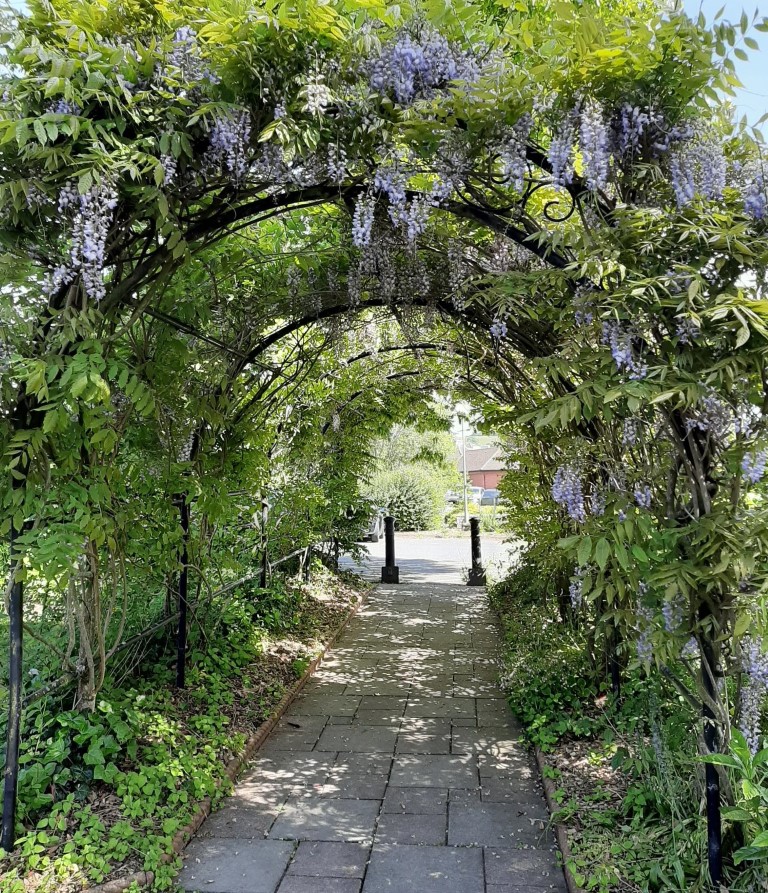 Calling Garden Volunteers! Thelma Hulbert Gallery