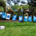 Cyanotypes images drying out