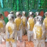 Meerkats and Grass