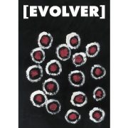 2007 Evolver