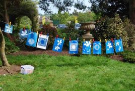 Cyanotypes images drying out