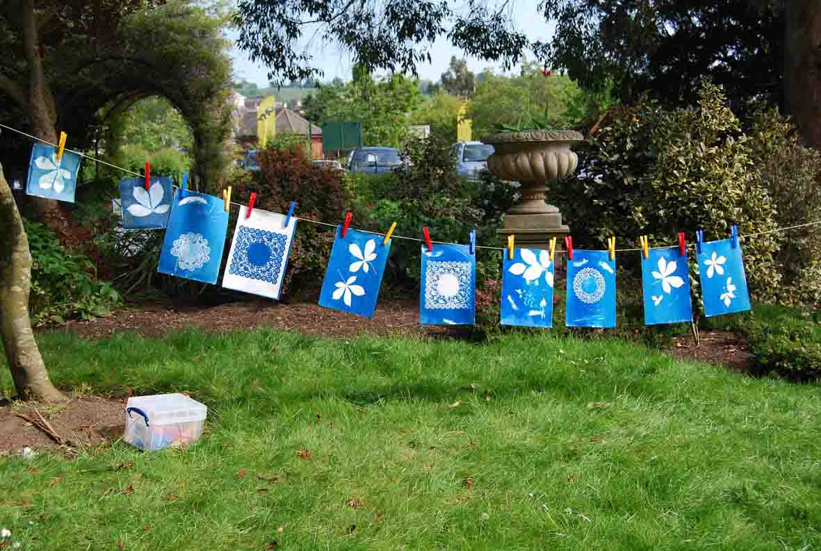 Cyanotypes images drying out